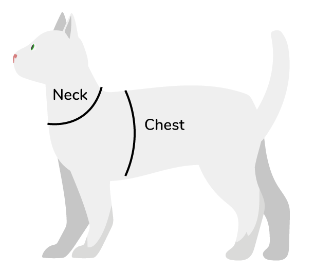 Rollo Pet Costume - Limited Edition 1 Website Pet Size Illustration 1