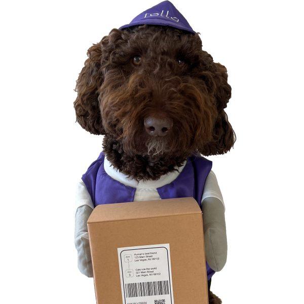 Rollo Pet Costume