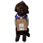 rollo-pet-2